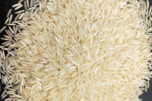 1121-steem-basmati-rice