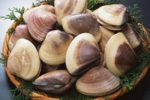 Clams-300x300