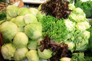 Lettuces-3.jpg