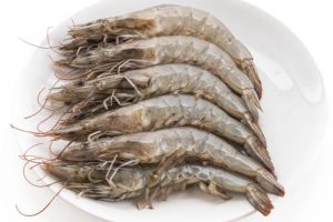 fresh shrimp/prawn on white background