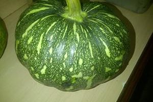 Pumpkin-3.jpg
