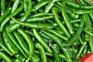 organic-fresh-green-chilli-122.jpg