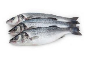 sea-bass-567x567