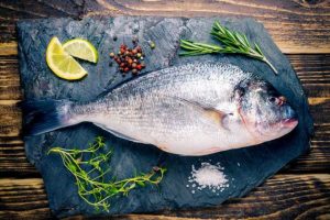 sea_bream-567x567